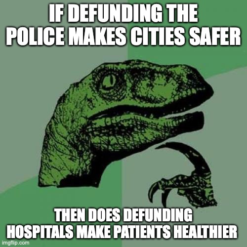 Philosoraptor | IF DEFUNDING THE POLICE MAKES CITIES SAFER; THEN DOES DEFUNDING HOSPITALS MAKE PATIENTS HEALTHIER | image tagged in memes,philosoraptor | made w/ Imgflip meme maker