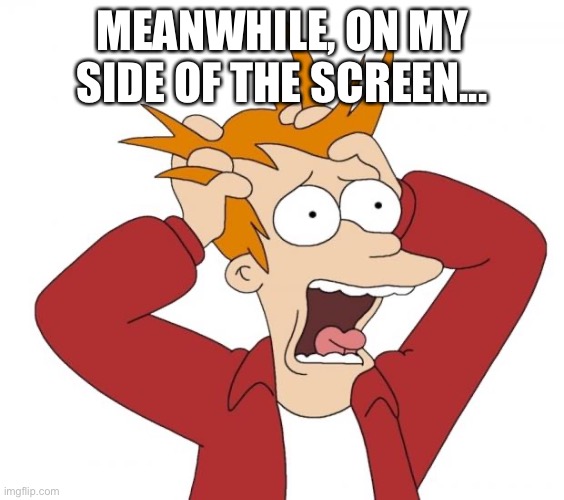 Panic | MEANWHILE, ON MY SIDE OF THE SCREEN... | image tagged in panic | made w/ Imgflip meme maker