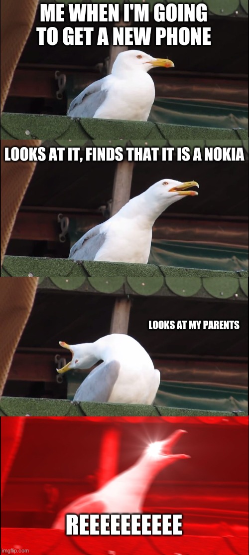 Inhaling Seagull | ME WHEN I'M GOING TO GET A NEW PHONE; LOOKS AT IT, FINDS THAT IT IS A NOKIA; LOOKS AT MY PARENTS; REEEEEEEEEE | image tagged in memes,inhaling seagull | made w/ Imgflip meme maker