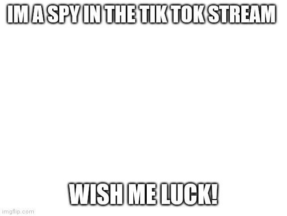 Blank White Template | IM A SPY IN THE TIK TOK STREAM; WISH ME LUCK! | image tagged in blank white template | made w/ Imgflip meme maker