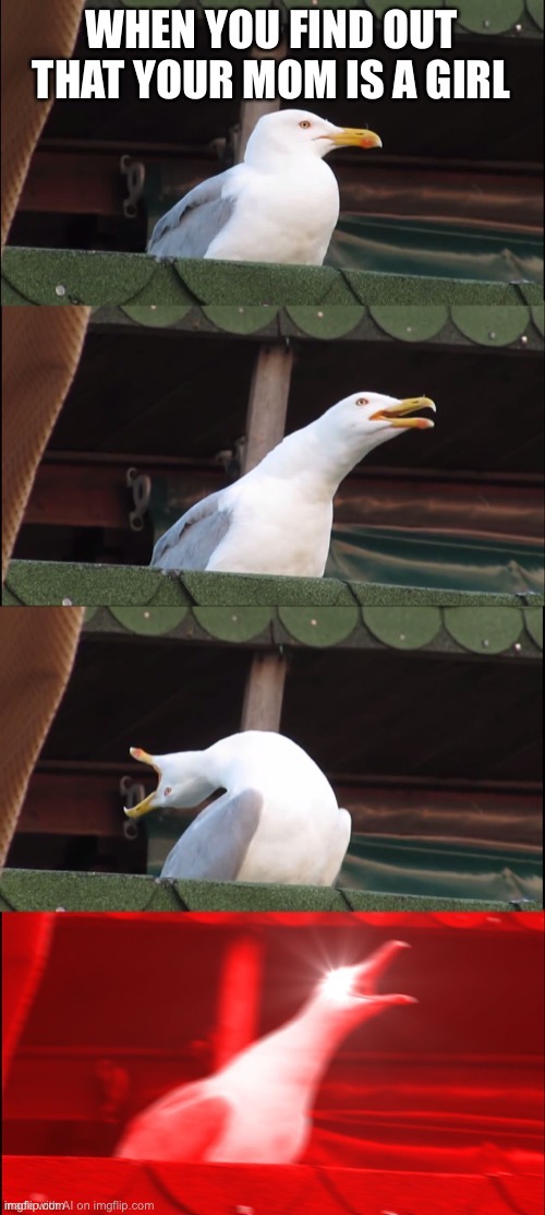 ? | made w/ Imgflip meme maker