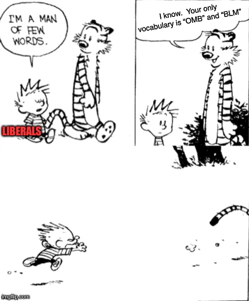 Trying to achieve liberal logic | I know.  Your only vocabulary is “OMB” and “BLM”; LIBERALS | image tagged in funny,memes,politics,blm,trump | made w/ Imgflip meme maker