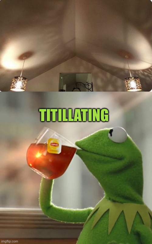 TITILLATING | image tagged in memes,but that's none of my business,lights,funny | made w/ Imgflip meme maker