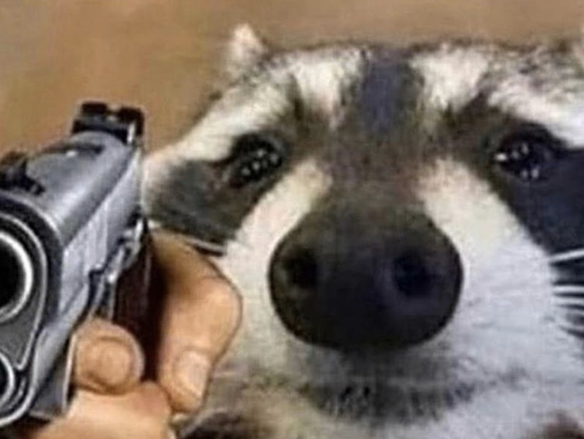 Wholesome coon with gun Blank Meme Template