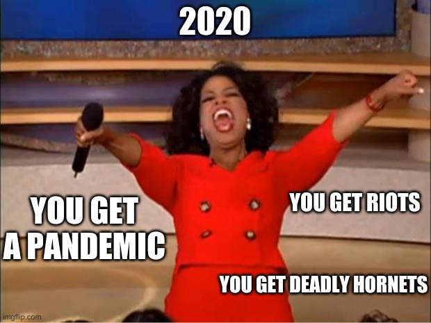 Oprah You Get A | 2020; YOU GET A PANDEMIC; YOU GET RIOTS; YOU GET DEADLY HORNETS | image tagged in memes,oprah you get a | made w/ Imgflip meme maker