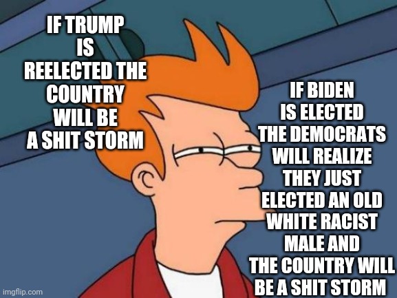 Futurama Fry | IF BIDEN IS ELECTED THE DEMOCRATS WILL REALIZE THEY JUST ELECTED AN OLD WHITE RACIST MALE AND THE COUNTRY WILL BE A SHIT STORM; IF TRUMP IS REELECTED THE COUNTRY WILL BE A SHIT STORM | image tagged in memes,futurama fry | made w/ Imgflip meme maker