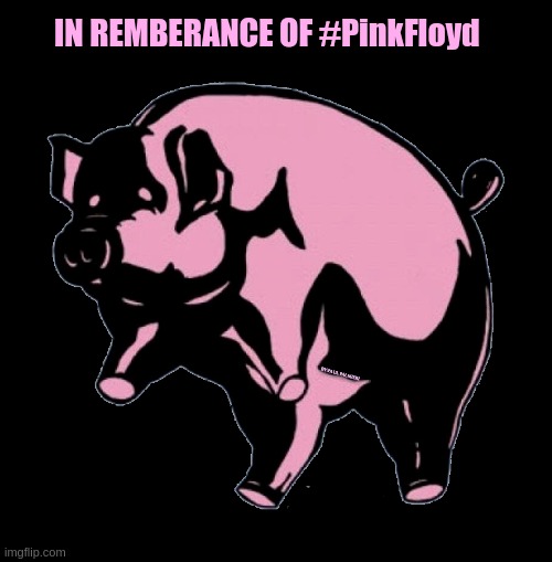 In Remembrance of #PinkFloyd | IN REMBERANCE OF #PinkFloyd; BY:PAUL PALMIERI | image tagged in pink floyd,so true memes,original memes,memes,pinkpigsmatter,funny memes | made w/ Imgflip meme maker