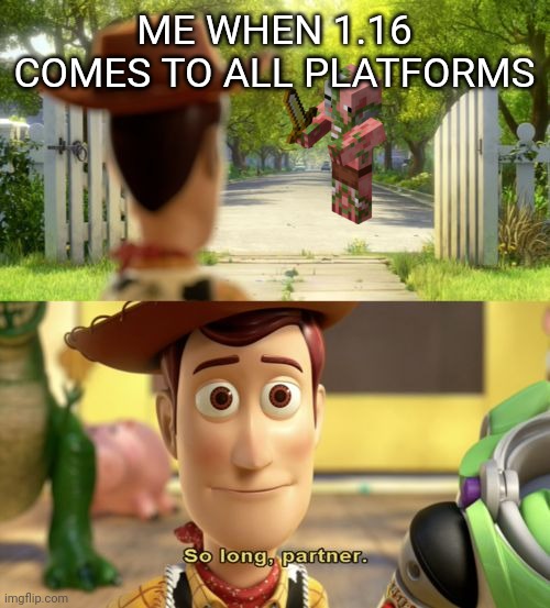 I had to get this off my chest | ME WHEN 1.16 COMES TO ALL PLATFORMS | image tagged in so long partner | made w/ Imgflip meme maker