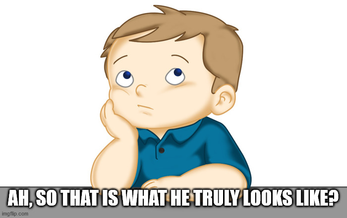 Thinking boy | AH, SO THAT IS WHAT HE TRULY LOOKS LIKE? | image tagged in thinking boy | made w/ Imgflip meme maker