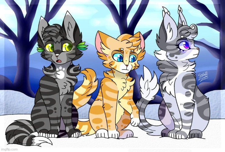 Ask or dare Shadowsight, Bristlefrost, and Rootspring(individually)! | image tagged in warrior cats | made w/ Imgflip meme maker