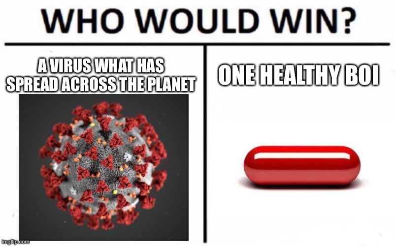 Why did we not do this in the first place? | A VIRUS WHAT HAS SPREAD ACROSS THE PLANET; ONE HEALTHY BOI | image tagged in memes,who would win,scp-500,coronavirus | made w/ Imgflip meme maker