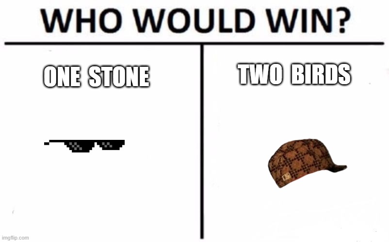 ONE  STONE TWO  BIRDS | image tagged in memes,who would win | made w/ Imgflip meme maker