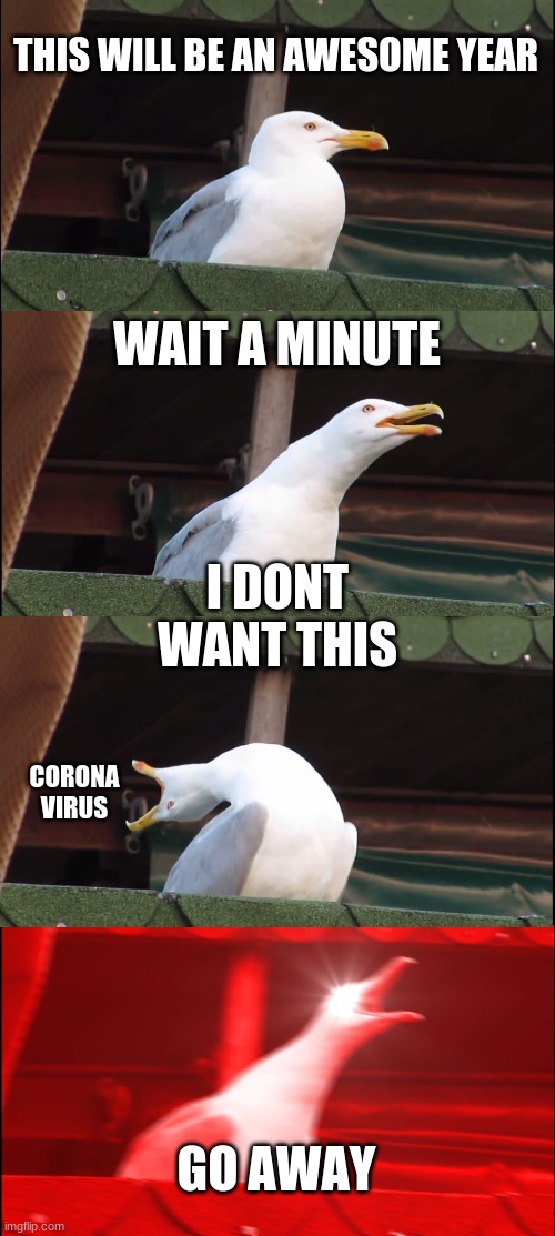 Covid Seagull | THIS WILL BE AN AWESOME YEAR; WAIT A MINUTE; I DONT WANT THIS; CORONA VIRUS; GO AWAY | image tagged in memes,inhaling seagull,covid-19,coronavirus | made w/ Imgflip meme maker