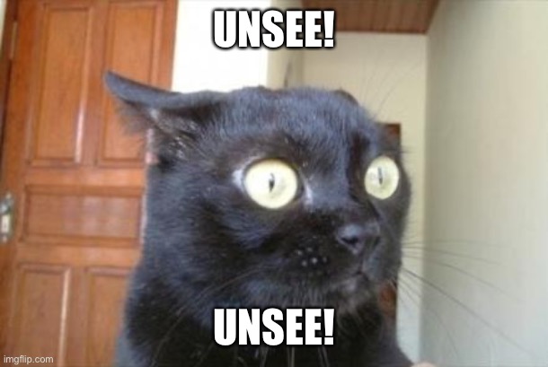 Cannot Be Unseen Cat | UNSEE! UNSEE! | image tagged in cannot be unseen cat | made w/ Imgflip meme maker