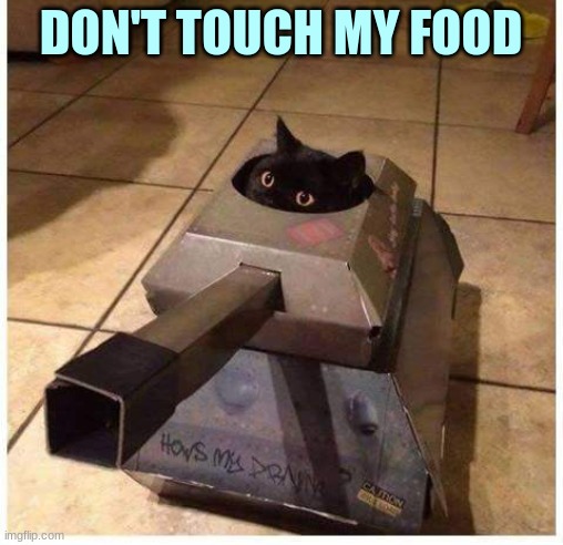 Cat armor | DON'T TOUCH MY FOOD | image tagged in cat armor | made w/ Imgflip meme maker