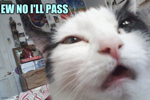 EW NO I'LL PASS | made w/ Imgflip meme maker