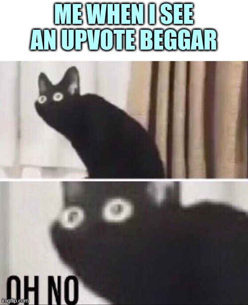 ...I hate upvote begging(ironic because I'm following upvote begging and anti upvote begging and downvote begging) | ME WHEN I SEE AN UPVOTE BEGGAR | image tagged in oh no cat,dont upvote beg,memes | made w/ Imgflip meme maker