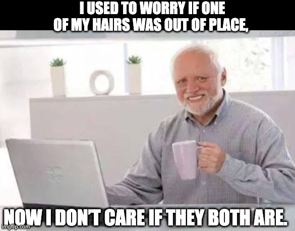 Me too! | I USED TO WORRY IF ONE OF MY HAIRS WAS OUT OF PLACE, NOW I DON’T CARE IF THEY BOTH ARE. | image tagged in harold | made w/ Imgflip meme maker