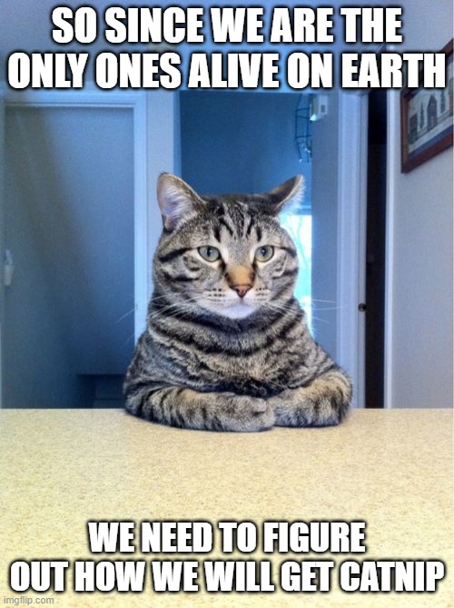 Take A Seat Cat Meme | SO SINCE WE ARE THE ONLY ONES ALIVE ON EARTH; WE NEED TO FIGURE OUT HOW WE WILL GET CATNIP | image tagged in memes,take a seat cat | made w/ Imgflip meme maker