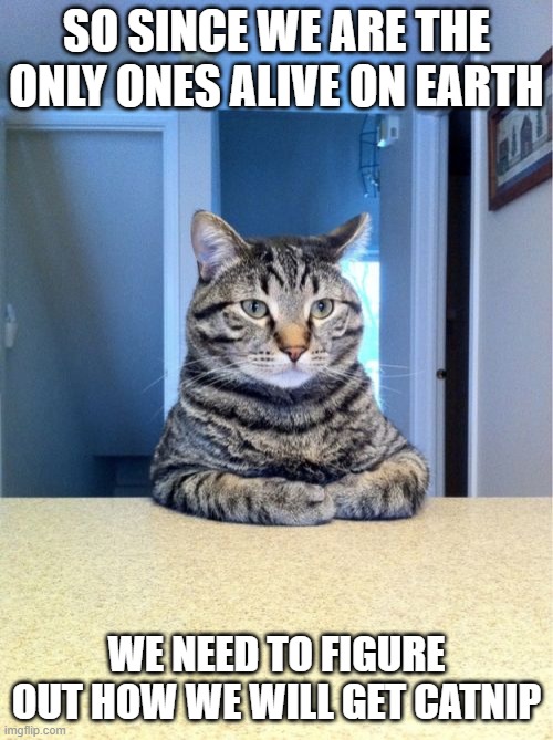 Take A Seat Cat | SO SINCE WE ARE THE ONLY ONES ALIVE ON EARTH; WE NEED TO FIGURE OUT HOW WE WILL GET CATNIP | image tagged in memes,take a seat cat | made w/ Imgflip meme maker