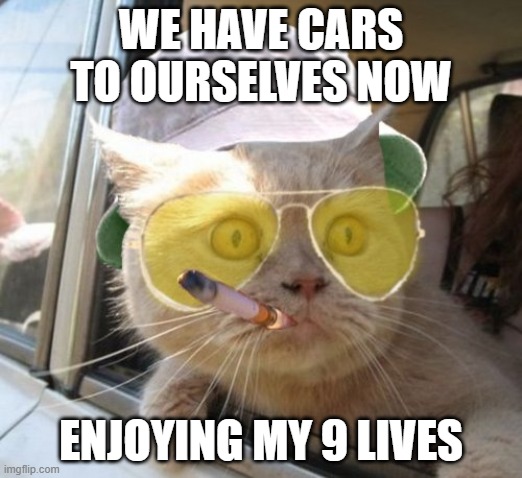 Fear And Loathing Cat Meme | WE HAVE CARS TO OURSELVES NOW; ENJOYING MY 9 LIVES | image tagged in memes,fear and loathing cat | made w/ Imgflip meme maker