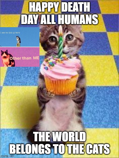 Happy Birthday Cat | HAPPY DEATH DAY ALL HUMANS; THE WORLD BELONGS TO THE CATS | image tagged in happy birthday cat | made w/ Imgflip meme maker