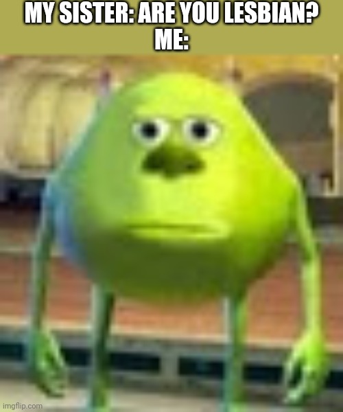Sully Wazowski | MY SISTER: ARE YOU LESBIAN?
ME: | image tagged in sully wazowski | made w/ Imgflip meme maker