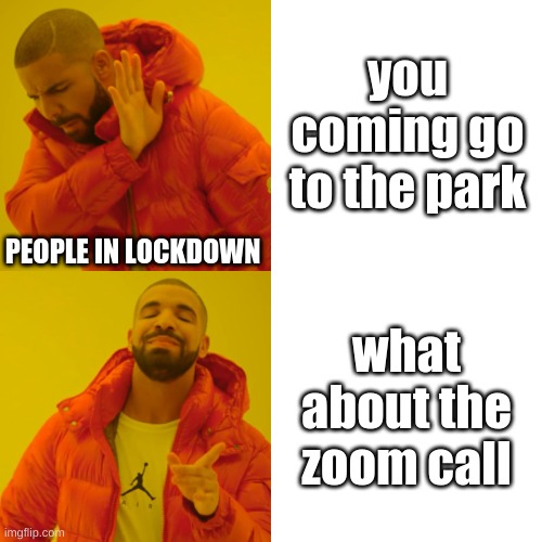 Am I right or am I right | you coming go to the park; PEOPLE IN LOCKDOWN; what about the zoom call | image tagged in memes,drake hotline bling | made w/ Imgflip meme maker