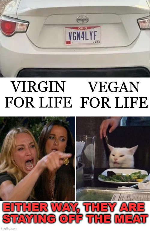 No meat needed. | VIRGIN FOR LIFE; VEGAN FOR LIFE; EITHER WAY, THEY ARE 
STAYING OFF THE MEAT | image tagged in angry lady cat,vegan,virgin | made w/ Imgflip meme maker