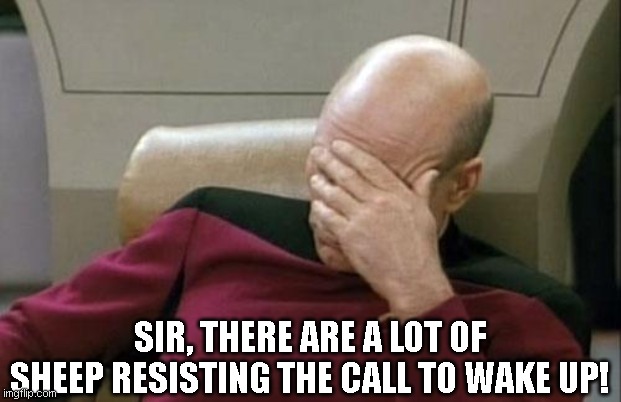 Captain Picard Facepalm | SIR, THERE ARE A LOT OF SHEEP RESISTING THE CALL TO WAKE UP! | image tagged in memes,captain picard facepalm | made w/ Imgflip meme maker