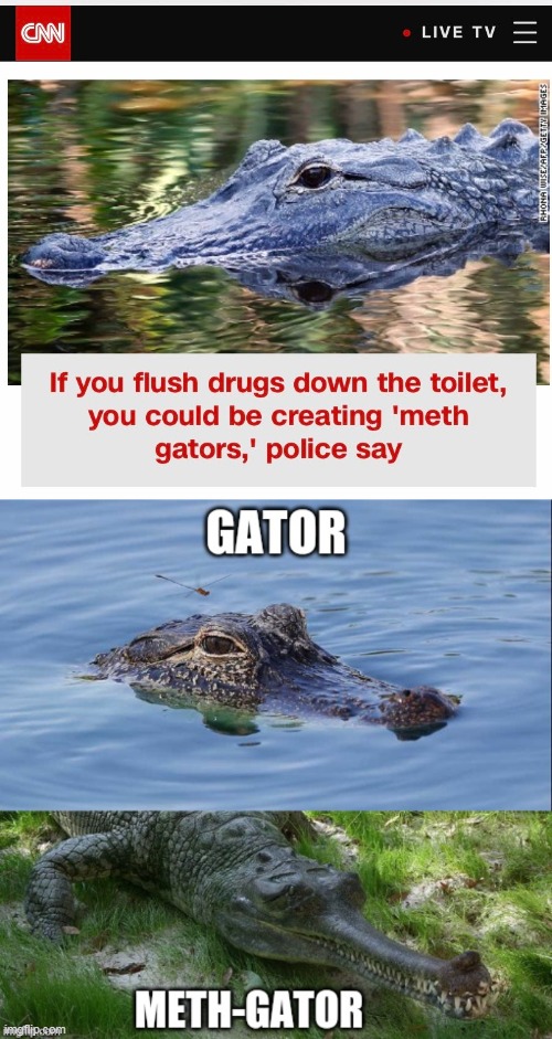 Chart Maker. gator image tagged in funny,funny memes made w/ Imgflip meme m...