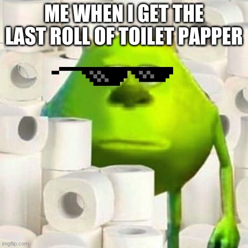 ME WHEN I GET THE LAST ROLL OF TOILET PAPER | image tagged in cvvvvvvvbcnfng cfbxg vcmf | made w/ Imgflip meme maker
