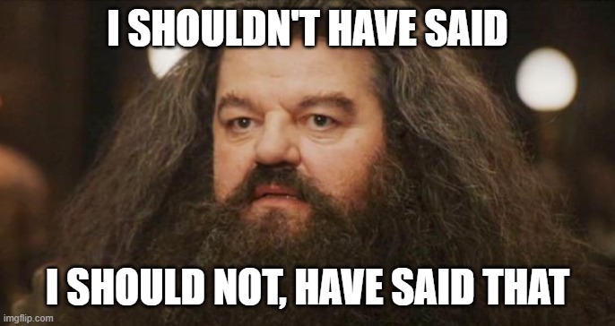Hagrid | I SHOULDN'T HAVE SAID I SHOULD NOT, HAVE SAID THAT | image tagged in hagrid | made w/ Imgflip meme maker