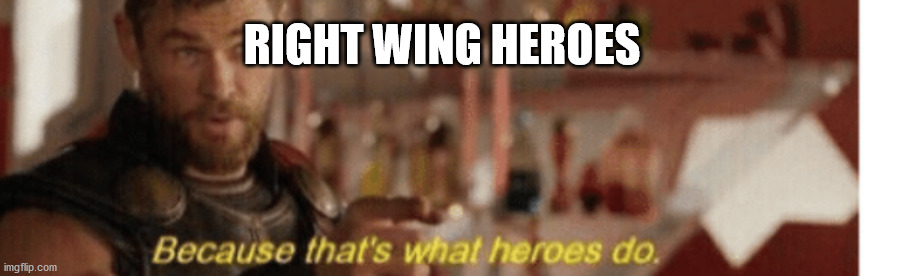RIGHT WING HEROES | image tagged in because thats what heroes do | made w/ Imgflip meme maker