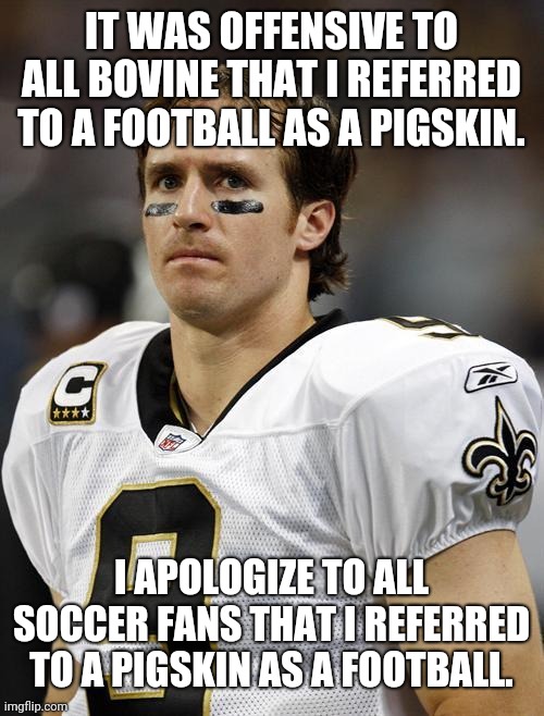 Yet Another Drew Brees Apology | IT WAS OFFENSIVE TO ALL BOVINE THAT I REFERRED TO A FOOTBALL AS A PIGSKIN. I APOLOGIZE TO ALL SOCCER FANS THAT I REFERRED TO A PIGSKIN AS A FOOTBALL. | image tagged in drew brees | made w/ Imgflip meme maker