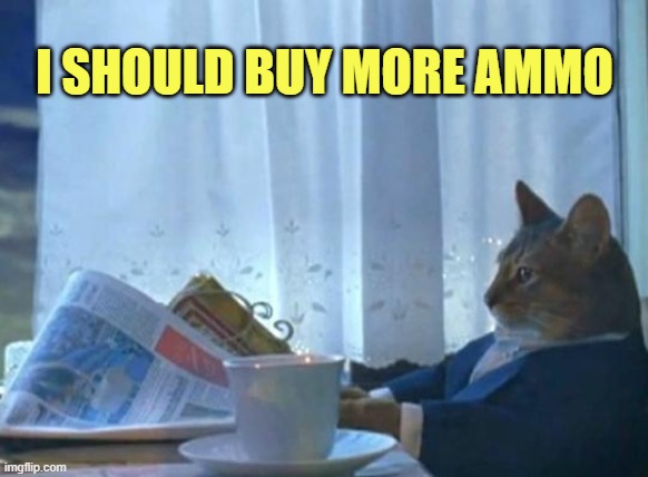 Headlines | I SHOULD BUY MORE AMMO | image tagged in cat newspaper | made w/ Imgflip meme maker
