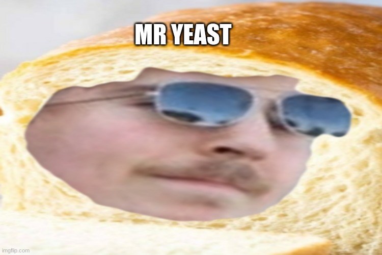 MR YEAST | made w/ Imgflip meme maker
