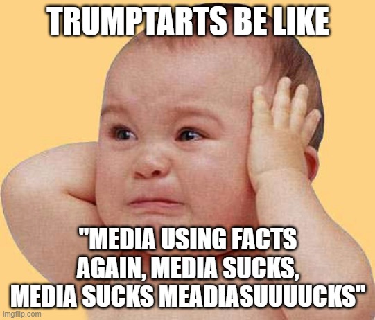 Media sucks!! | TRUMPTARTS BE LIKE; "MEDIA USING FACTS AGAIN, MEDIA SUCKS, MEDIA SUCKS MEADIASUUUUCKS" | image tagged in stupid conservatives,liberals,joe biden | made w/ Imgflip meme maker