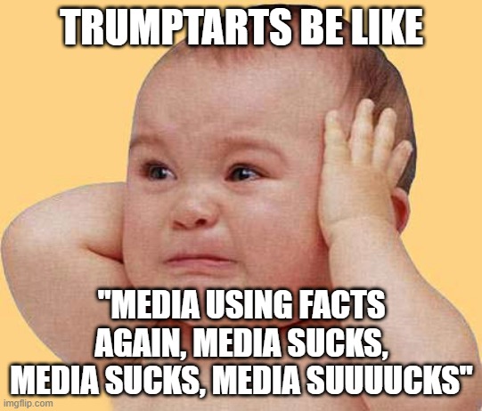media sucks | TRUMPTARTS BE LIKE; "MEDIA USING FACTS AGAIN, MEDIA SUCKS, MEDIA SUCKS, MEDIA SUUUUCKS" | image tagged in stupid conservatives,liberals | made w/ Imgflip meme maker