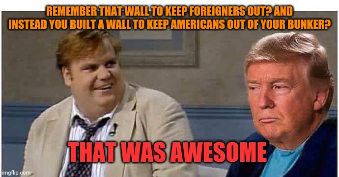 Remember that time | REMEMBER THAT WALL TO KEEP FOREIGNERS OUT? AND INSTEAD YOU BUILT A WALL TO KEEP AMERICANS OUT OF YOUR BUNKER? THAT WAS AWESOME | image tagged in remember that time | made w/ Imgflip meme maker