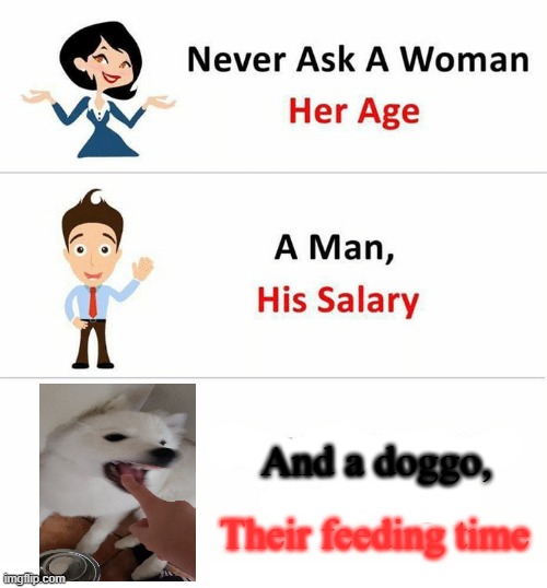 Never Ask a Woman Her Age | And a doggo, Their feeding time | image tagged in never ask a woman her age | made w/ Imgflip meme maker