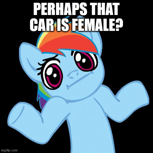 Pony Shrugs Meme | PERHAPS THAT CAR IS FEMALE? | image tagged in memes,pony shrugs | made w/ Imgflip meme maker