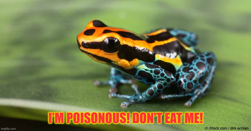 mods have started to evolve to avoid gryphonstar | I'M POISONOUS! DON'T EAT ME! | image tagged in poison dart frog | made w/ Imgflip meme maker