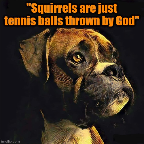 "Squirrels are just tennis balls thrown by God" | image tagged in dog week,food for thought,in god we trust | made w/ Imgflip meme maker