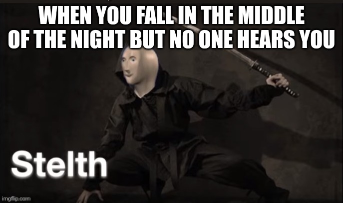 stelth | WHEN YOU FALL IN THE MIDDLE OF THE NIGHT BUT NO ONE HEARS YOU | image tagged in meme man stelth | made w/ Imgflip meme maker