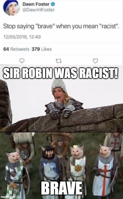 SIR ROBIN WAS RACIST! BRAVE | image tagged in smudge the cat | made w/ Imgflip meme maker