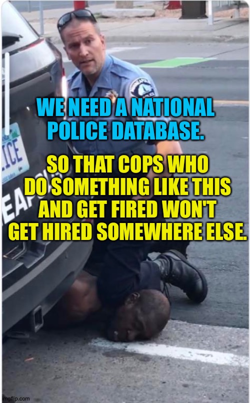 National Police Database | WE NEED A NATIONAL POLICE DATABASE. SO THAT COPS WHO DO SOMETHING LIKE THIS AND GET FIRED WON'T GET HIRED SOMEWHERE ELSE. | image tagged in ofc derek chauvin | made w/ Imgflip meme maker