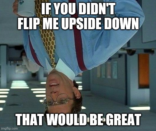 That Would Be Great | IF YOU DIDN'T FLIP ME UPSIDE DOWN; THAT WOULD BE GREAT | image tagged in memes,that would be great | made w/ Imgflip meme maker