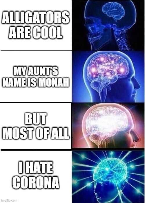 Expanding Brain Meme |  ALLIGATORS ARE COOL; MY AUNT'S NAME IS MONAH; BUT MOST OF ALL; I HATE CORONA | image tagged in memes,expanding brain | made w/ Imgflip meme maker