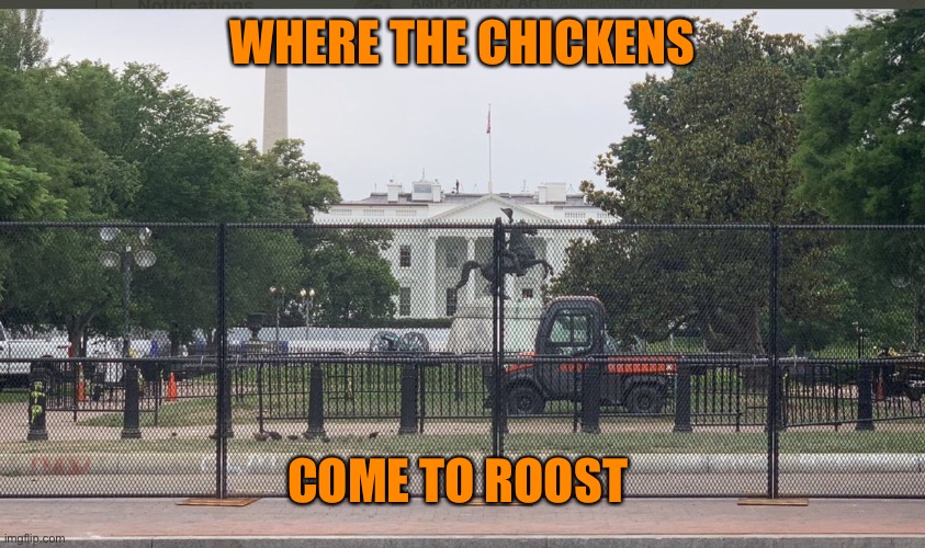 WHERE THE CHICKENS COME TO ROOST | made w/ Imgflip meme maker